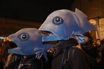 Daspo Social, la proposta delle sardine